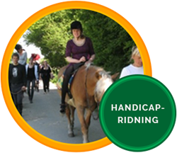 Handicap ridning knap